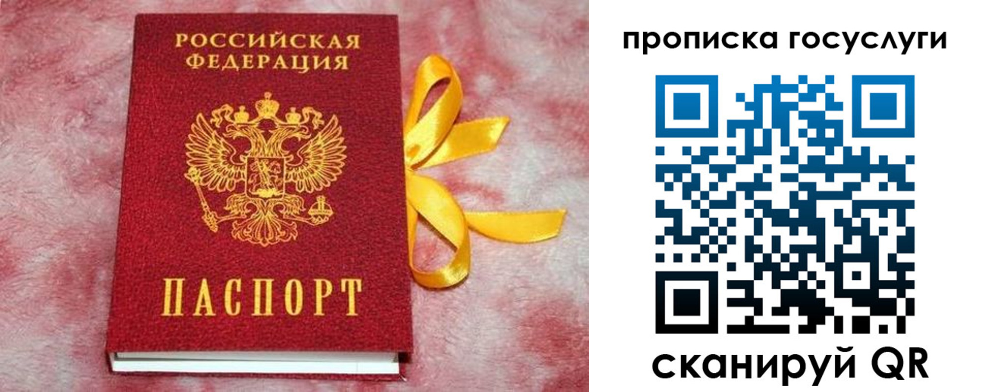 прописка законно в Майкопе